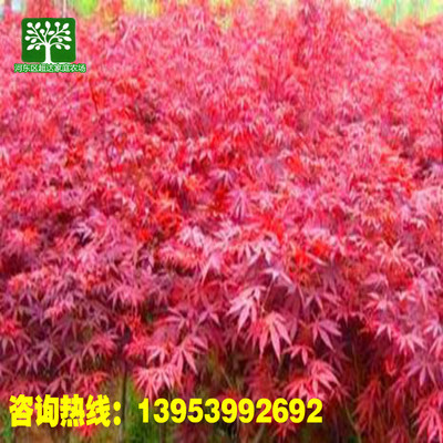 全部產(chǎn)品